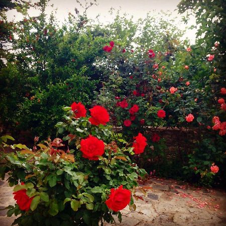 ホテルLa Casa Rossa Prínos エクステリア 写真